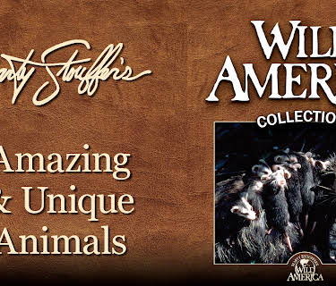 Wild America