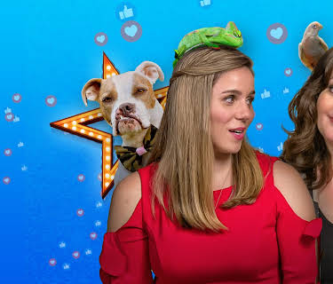 Pet Stars