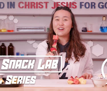 The Snack Lab