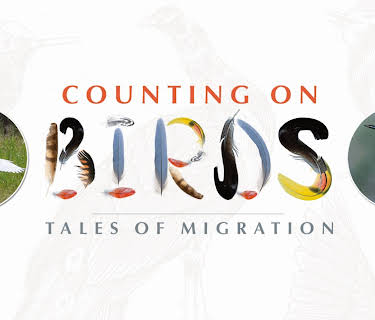 Counting on Birds: Tales of Migration