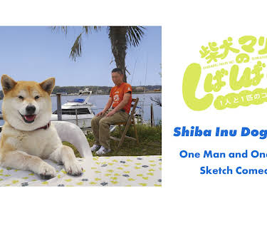 Shiba Inu Dog Skits: One Man and One Dog Sketch Comedy (2014)