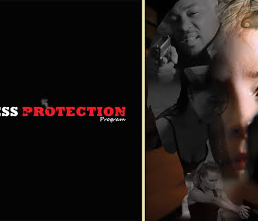 The Witness Protection Program (2016)