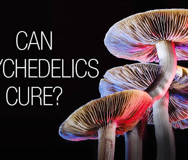 Can Psychedelics Cure? (2022)