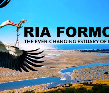 Ria Formosa: The Ever-Changing Estuary of Portugal (2023)