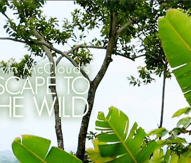 Kevin McCloud's Escape to the Wild