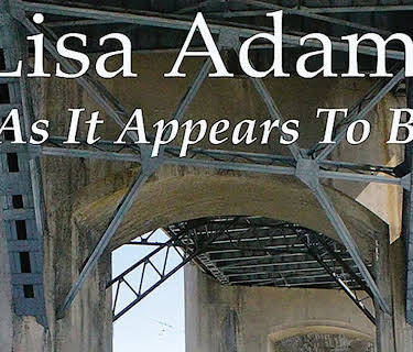 Lisa Adams: As It Appears to Be (2013)