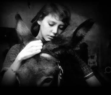 Au Hasard Balthazar (2003)