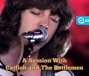 Catfish and The Bottlemen (2014)