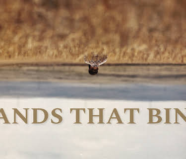 Hands That Bind (2023)