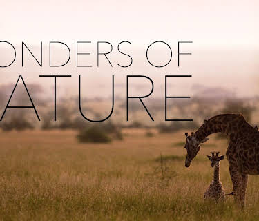 Wonders of Nature