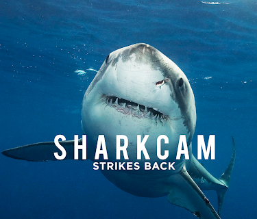 Sharkcam Strikes Back (2018)