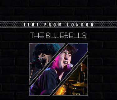 The Bluebells - Live From London (1985)