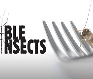 Edible Insects (1974)