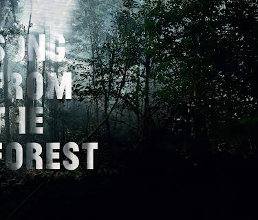 Song From The Forest (2015)