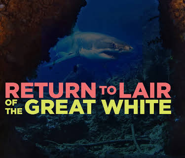 Return to Lair of the Great White