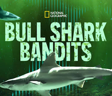 Bull Shark Bandits (2023)
