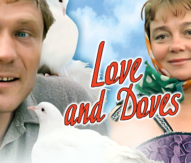 Love and Doves (1985)