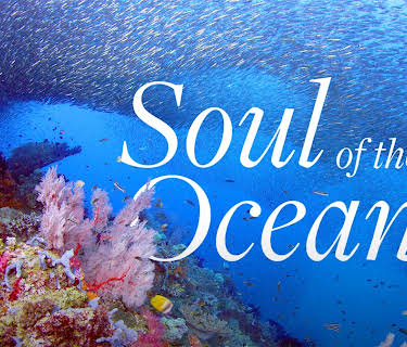Soul Of The Ocean