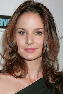 Sarah Wayne Callies
