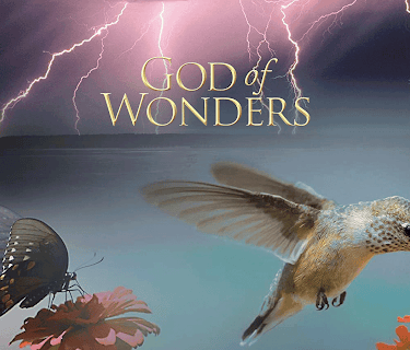 God of Wonders
