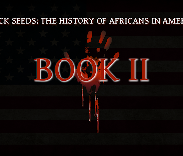 Book 2: The History of Africans in America (2022)
