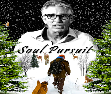 Soul Pursuit (2021)