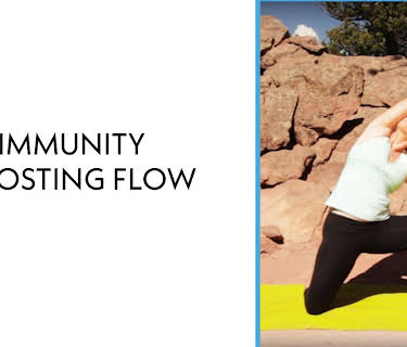 Immunity Boosting Flow (1990)