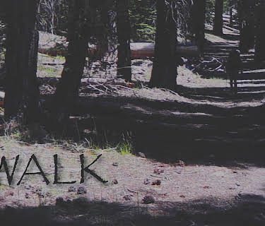 Walk (2004)