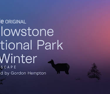 Yellowstone National Park in Winter (2020)