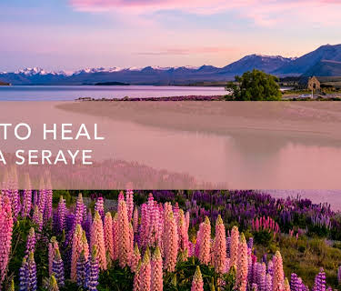 Feel to Heal (2023)