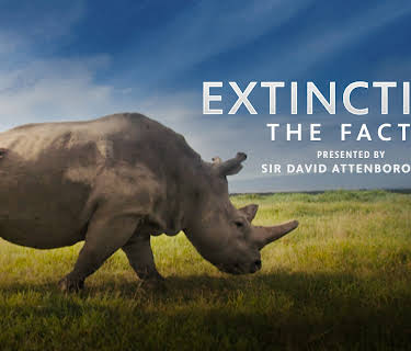 Extinction: The Facts (2020)