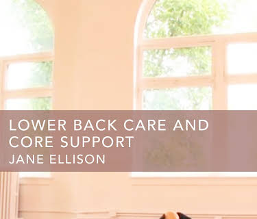 Lower Back Care and Core Support (2010)