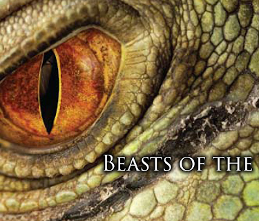 Beasts of the Bible (2010)
