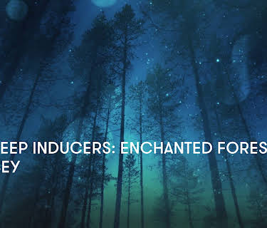 Zen Sleep Inducers: Enchanted Forest Odyssey (2024)