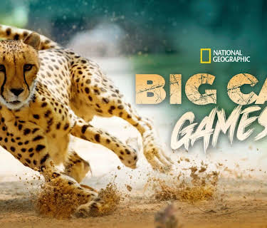 Big Cat Games (2015)