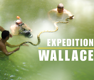 Expedition Wallacea (2007)