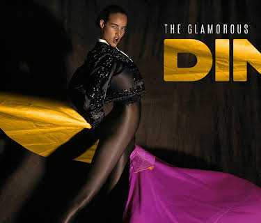 Dim: the glamorous history (2015)