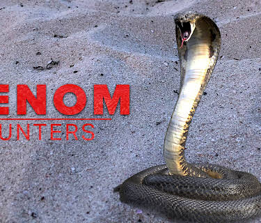 Venom Hunters Season 1