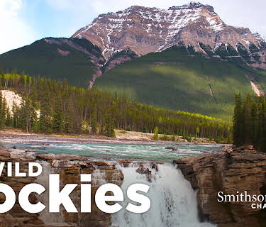 Wild Rockies