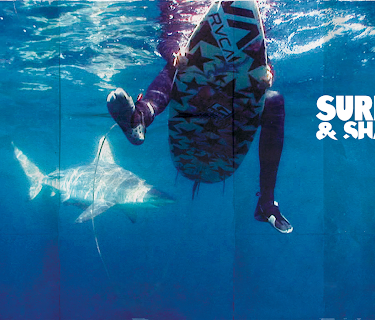 Surfing and Sharks (2012)
