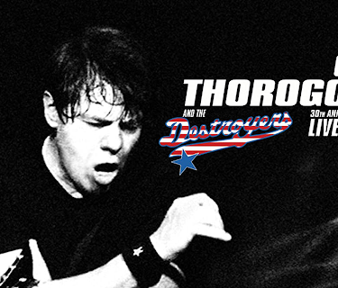 George Thorogood & The Destroyers - 30th Anniversary Tour Live (2010)
