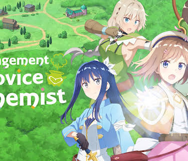 Management of a Novice Alchemist