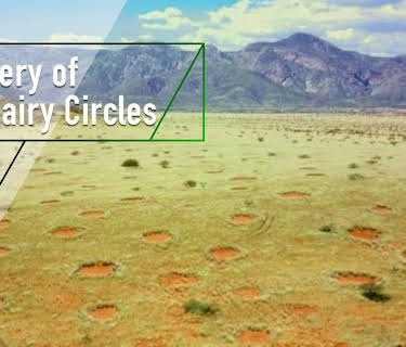 Mystery of the Fairy Circles (2011)
