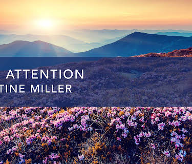Open Attention (2023)