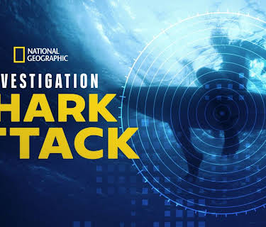 Investigation Shark Attack