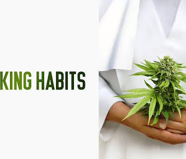 Breaking Habits (2019)