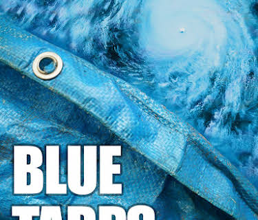Blue Tarps: This is Over Six Months After Hurricane Michael (2019)