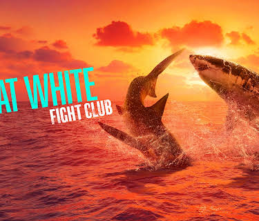 Great White Fight Club, Season 1