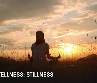 Zen Wellness: Stillness (2023)