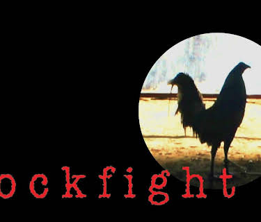 Cockfight (2001)